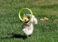 Load image into Gallery viewer, HURRIK9 Value Pack: Ring Launcher + 6 Standard Rings