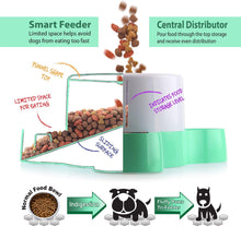 Load image into Gallery viewer, Fluffy Paws Smart Pet Tri-Feeder - Healthy Slow Eating Feeder Designed for Multi-Dogs or Cats with Non-Slip Base Pads, Anti-Gulping & Stop Food Competition, Dispense Dog or Cat Food, BPA Free