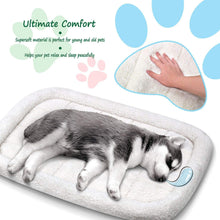 Load image into Gallery viewer, Fluffy Paws Foldable Soft Fleece Pet Crate Mat Bed with Accessories Pocket for Crates, Pet Carriers - for Dogs & Cats, Machine Washable, Anti-Skid Bottom - Small 23” x 18” x 3”