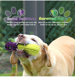Fluffy Paws Dog Toy, Durable Squeaky Bone-Shaped Pet Toy, [Dual Color] Rubber Dental Chewing Biting Pet Toy for Small and Medium Dog Puppy,Green/Purple